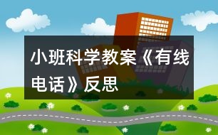 小班科學(xué)教案《有線電話》反思