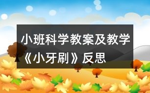 小班科學教案及教學《小牙刷》反思