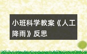 小班科學(xué)教案《人工降雨》反思