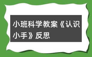 小班科學(xué)教案《認(rèn)識小手》反思