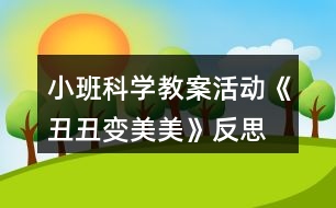 小班科學教案活動《丑丑變美美》反思