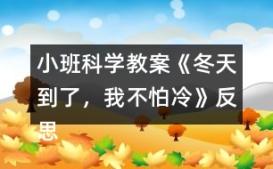 小班科學(xué)教案《冬天到了，我不怕冷》反思