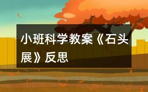 小班科學教案《石頭展》反思