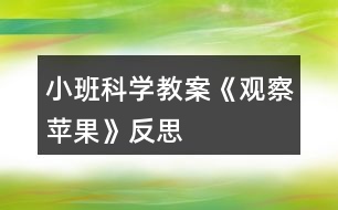 小班科學(xué)教案《觀察蘋(píng)果》反思