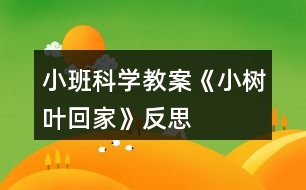 小班科學教案《小樹葉回家》反思