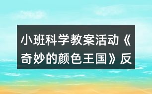 小班科學教案活動《奇妙的顏色王國》反思