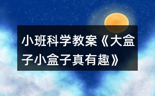 小班科學(xué)教案《大盒子、小盒子真有趣》反思