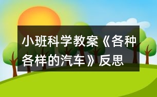 小班科學(xué)教案《各種各樣的汽車》反思