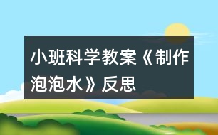 小班科學教案《制作泡泡水》反思