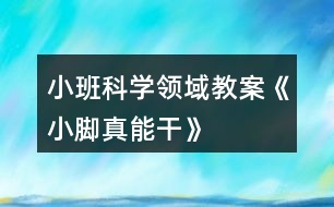 小班科學領(lǐng)域教案《小腳真能干》