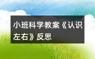 小班科學(xué)教案《認(rèn)識左右》反思