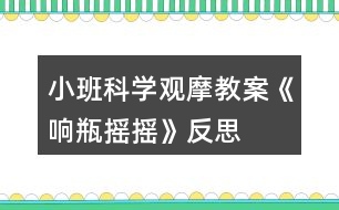 小班科學(xué)觀摩教案《響瓶搖搖》反思