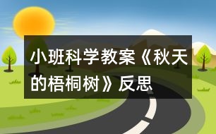 小班科學教案《秋天的梧桐樹》反思