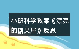 小班科學(xué)教案《漂亮的糖果屋》反思