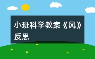 小班科學教案《風》反思