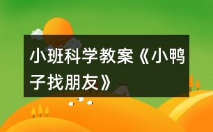 小班科學(xué)教案《小鴨子找朋友》