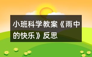 小班科學教案《雨中的快樂》反思