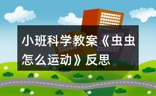 小班科學(xué)教案《蟲蟲怎么運動》反思