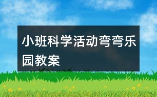 小班科學活動彎彎樂園教案