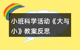 小班科學活動《大與小》教案反思