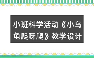 小班科學活動《小烏龜爬呀爬》教學設計反思