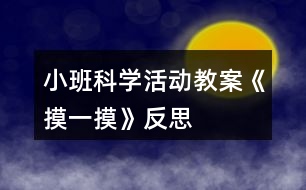 小班科學活動教案《摸一摸》反思