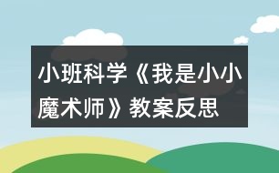 小班科學《我是小小魔術師》教案反思