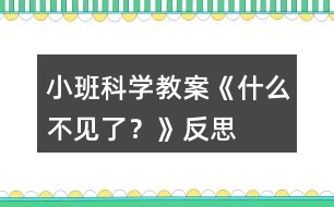 小班科學(xué)教案《什么不見了？》反思