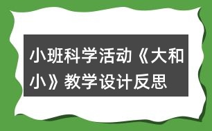 小班科學(xué)活動《大和小》教學(xué)設(shè)計反思