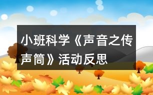 小班科學(xué)《聲音之傳聲筒》活動反思