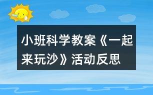 小班科學(xué)教案《一起來玩沙》活動(dòng)反思