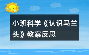 小班科學(xué)《認(rèn)識馬蘭頭》教案反思