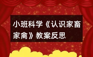 小班科學(xué)《認(rèn)識家畜家禽》教案反思