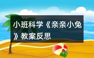 小班科學《親親小兔》教案反思