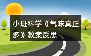 小班科學《氣味真正多》教案反思