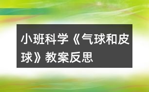 小班科學《氣球和皮球》教案反思