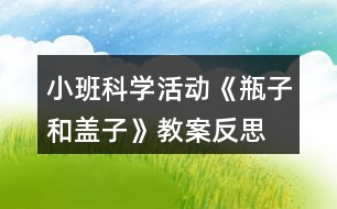 小班科學活動《瓶子和蓋子》教案反思