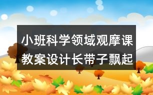 小班科學領域觀摩課教案設計長帶子飄起來反思