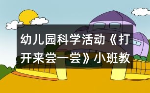 幼兒園科學(xué)活動(dòng)《打開來嘗一嘗》小班教案