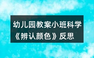 幼兒園教案小班科學《辨認顏色》反思