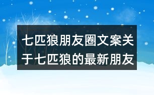 七匹狼朋友圈文案：關于七匹狼的最新朋友圈文案29句