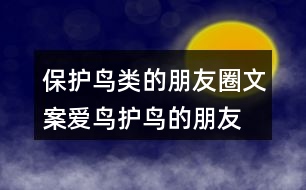 保護鳥類的朋友圈文案、愛鳥護鳥的朋友圈文案36句