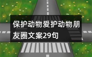 保護動物、愛護動物朋友圈文案29句