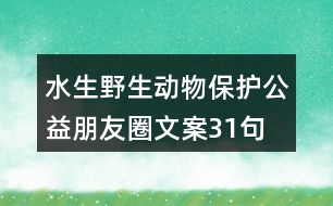 水生野生動物保護(hù)公益朋友圈文案31句