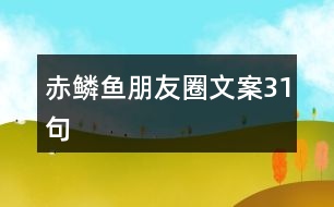 赤鱗魚(yú)朋友圈文案31句