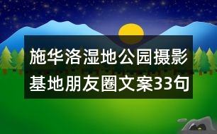 施華洛濕地公園攝影基地朋友圈文案33句