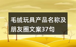 毛絨玩具產品名稱及朋友圈文案37句