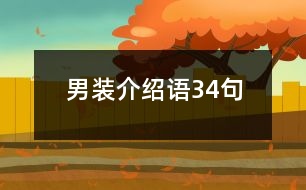 男裝介紹語(yǔ)34句