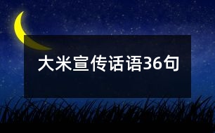 大米宣傳話語36句