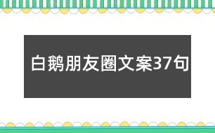 白鵝朋友圈文案37句